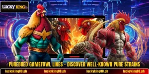 Purebred Gamefowl Lines – Discover Well-Known Pure Strains