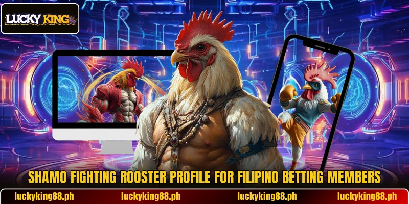 Shamo fighting rooster profile for Filipino betting members Shamo fighting rooster profile for Filipino betting members